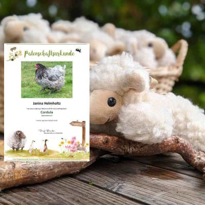 Liegendes Lamm mit Huhnpatenschaf