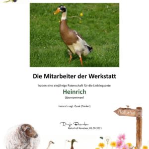 Produkte vom Schaf - Naturhof Kevelaer - Tierpatenschaft Ente