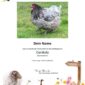 Produkte vom Schaf - Naturhof Kevelaer - Tierpatenschaft Huhn