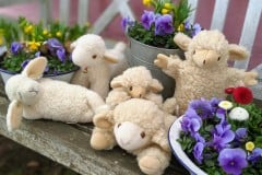 Kuscheltiere
