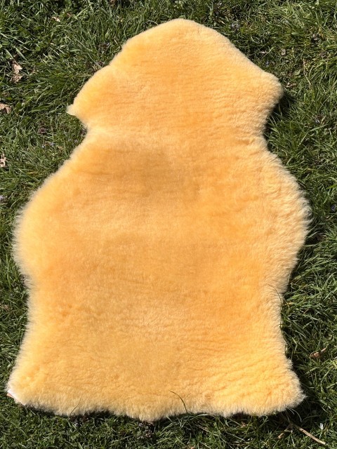 Schaffell Schaffell