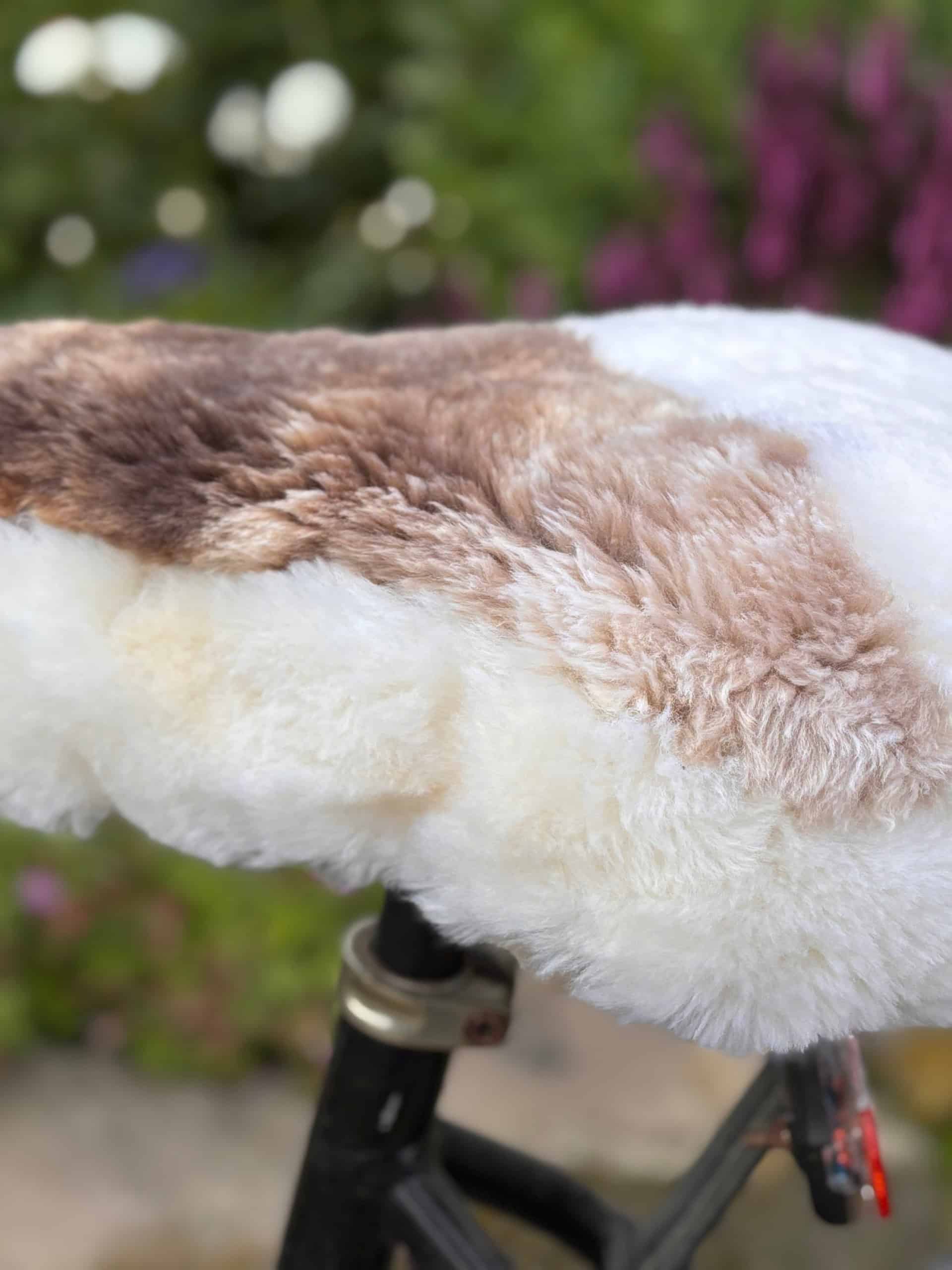 italienische fahrradbekleidung damen Retro Radtrikot Molteni Blutdruckregulation Kinderanhänger BURLEY HONEY BEE Geschmack:Natural