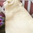 Babyschlafsack Bambini aus Wolle