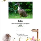Tierpatenschaft Ente Elli