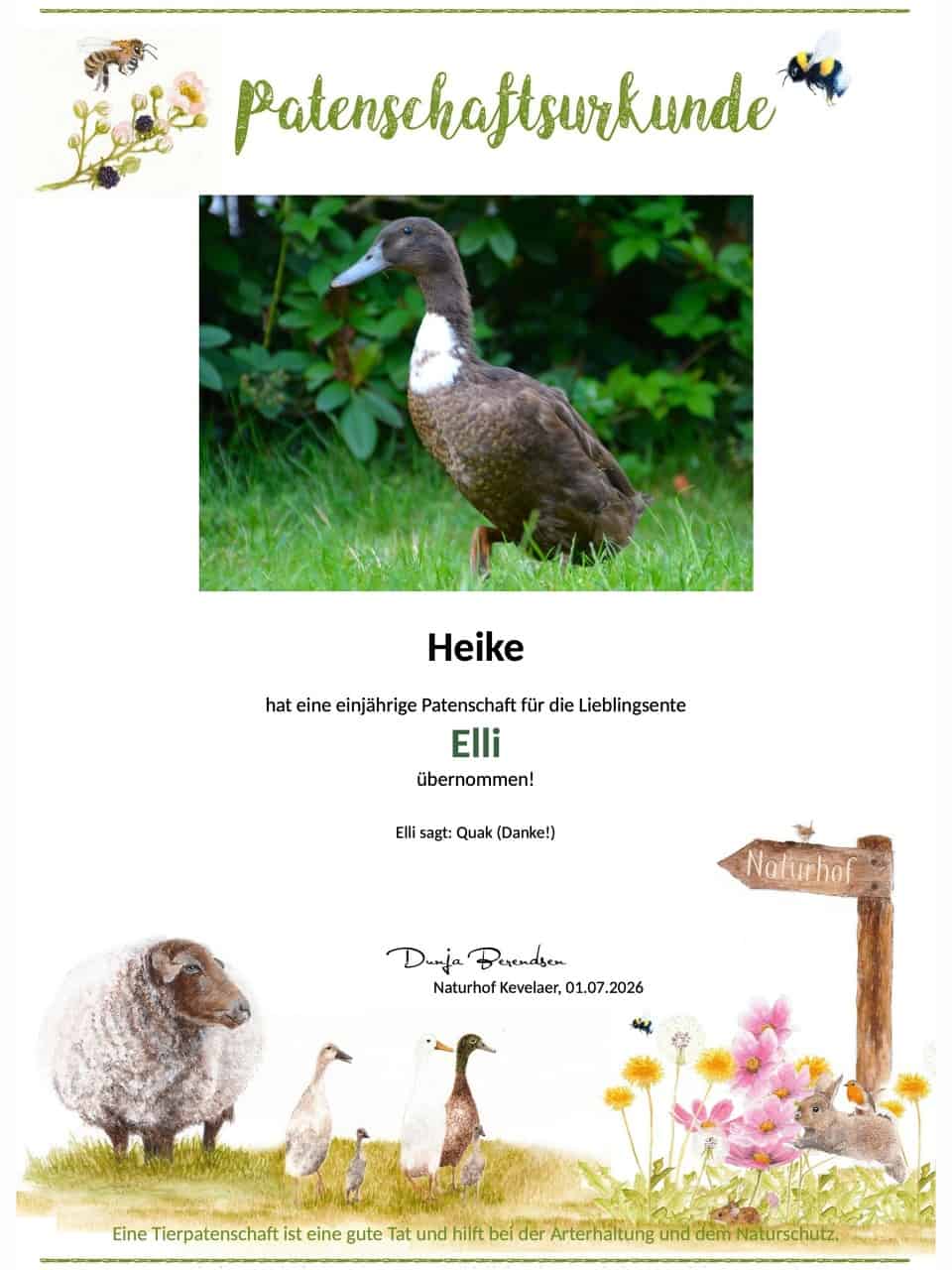 Tierpatenschaft Ente Elli Tierpatenschaft Ente Elli