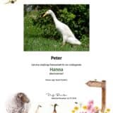 Tierpatenschaft Ente Hanna