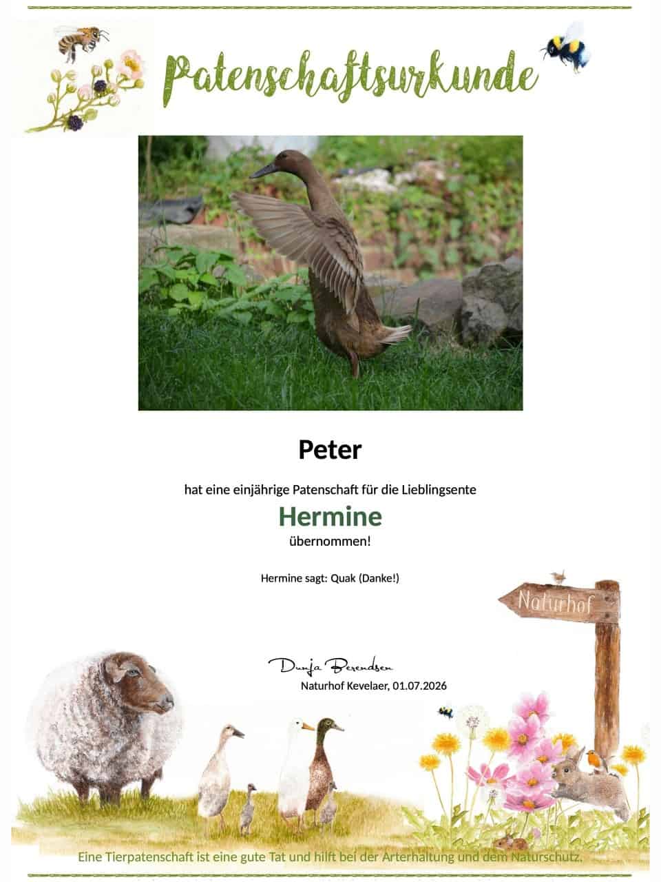 Tierpatenschaft Ente Hermine Tierpatenschaft Ente Hermine