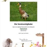 Tierpatenschaft Erpel Heinrich