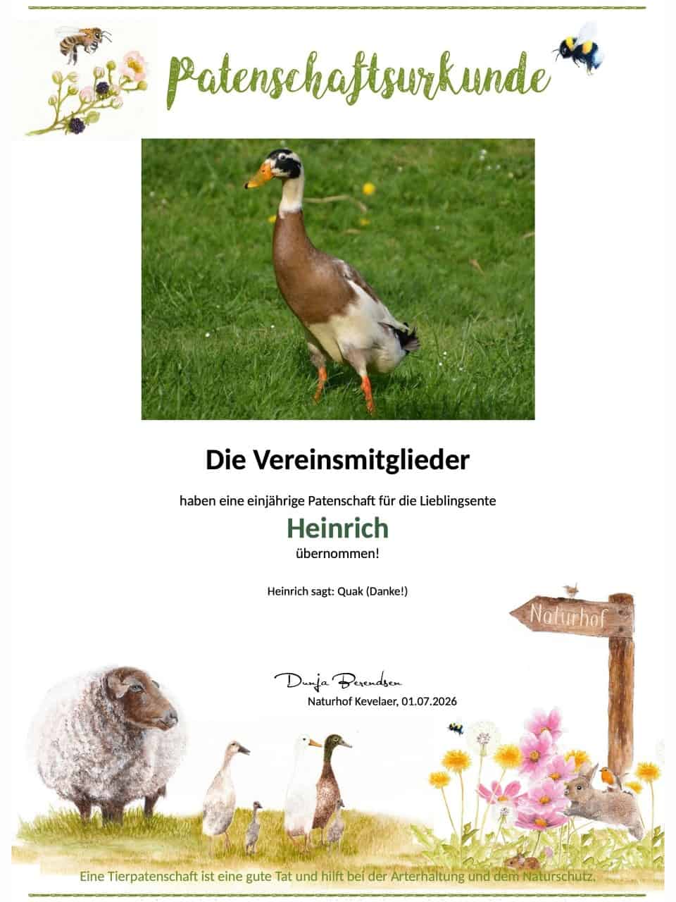 Tierpatenschaft Erpel Heinrich Tierpatenschaft Erpel Heinrich