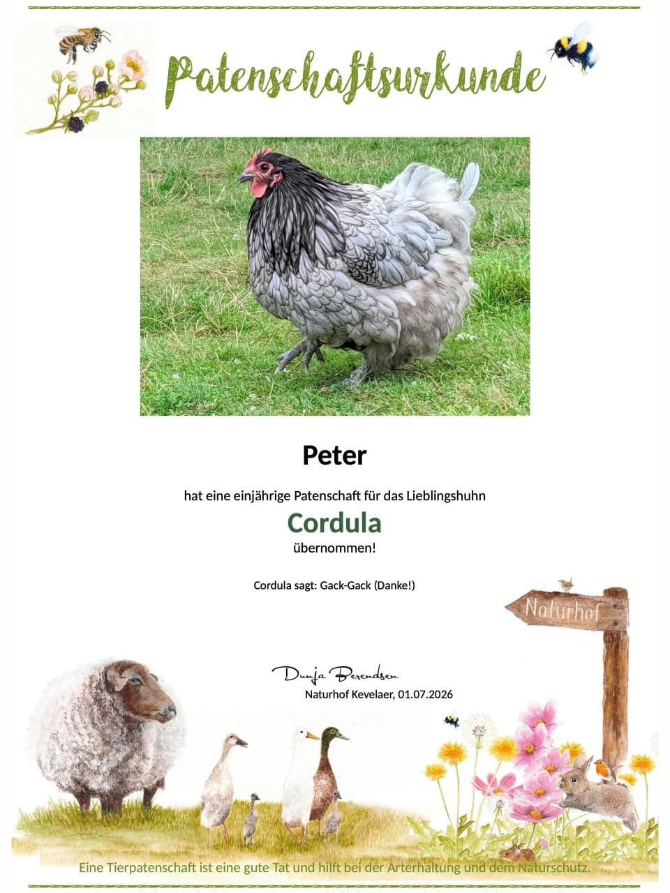 Tierpatenschaft Huhn Cordula Tierpatenschaft Huhn Cordula