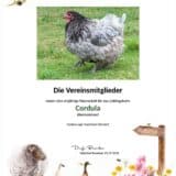Tierpatenschaft Huhn Cordula