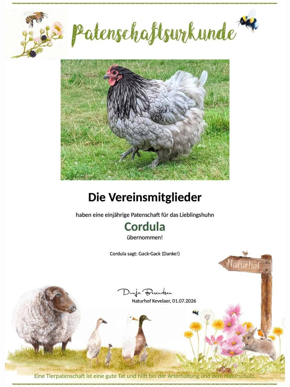 Tierpatenschaft Huhn Cordula Tierpatenschaft Huhn Cordula