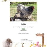 Tierpatenschaft Huhn Sissi