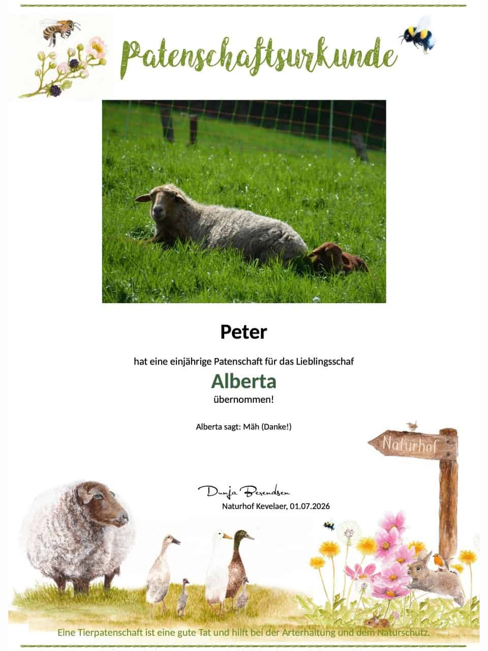 Tierpatenschaft Schaf Alberta Tierpatenschaft Schaf Alberta