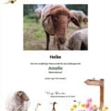 Tierpatenschaft Schaf Amelie