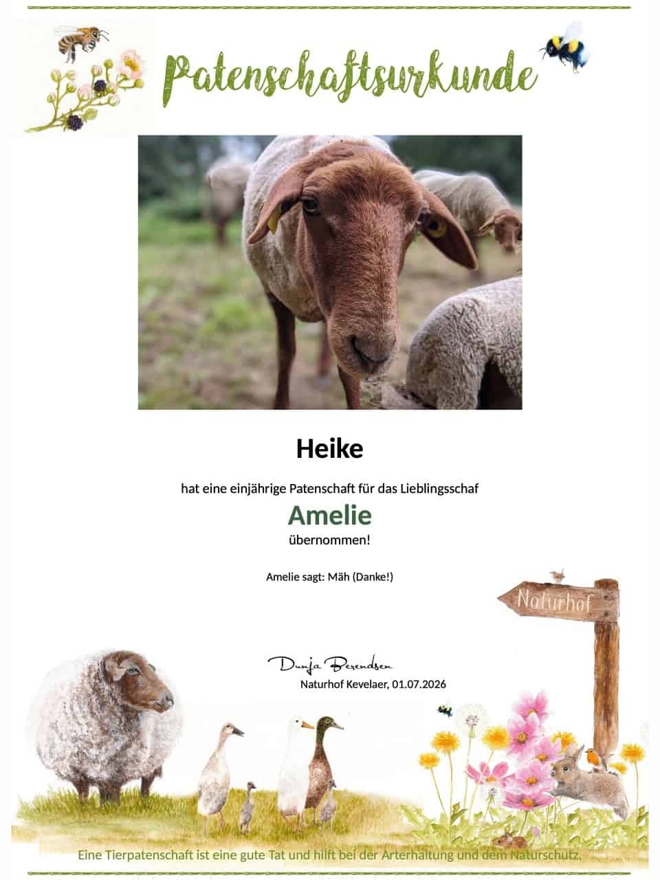 Tierpatenschaft Schaf Amelie Tierpatenschaft Schaf Amelie
