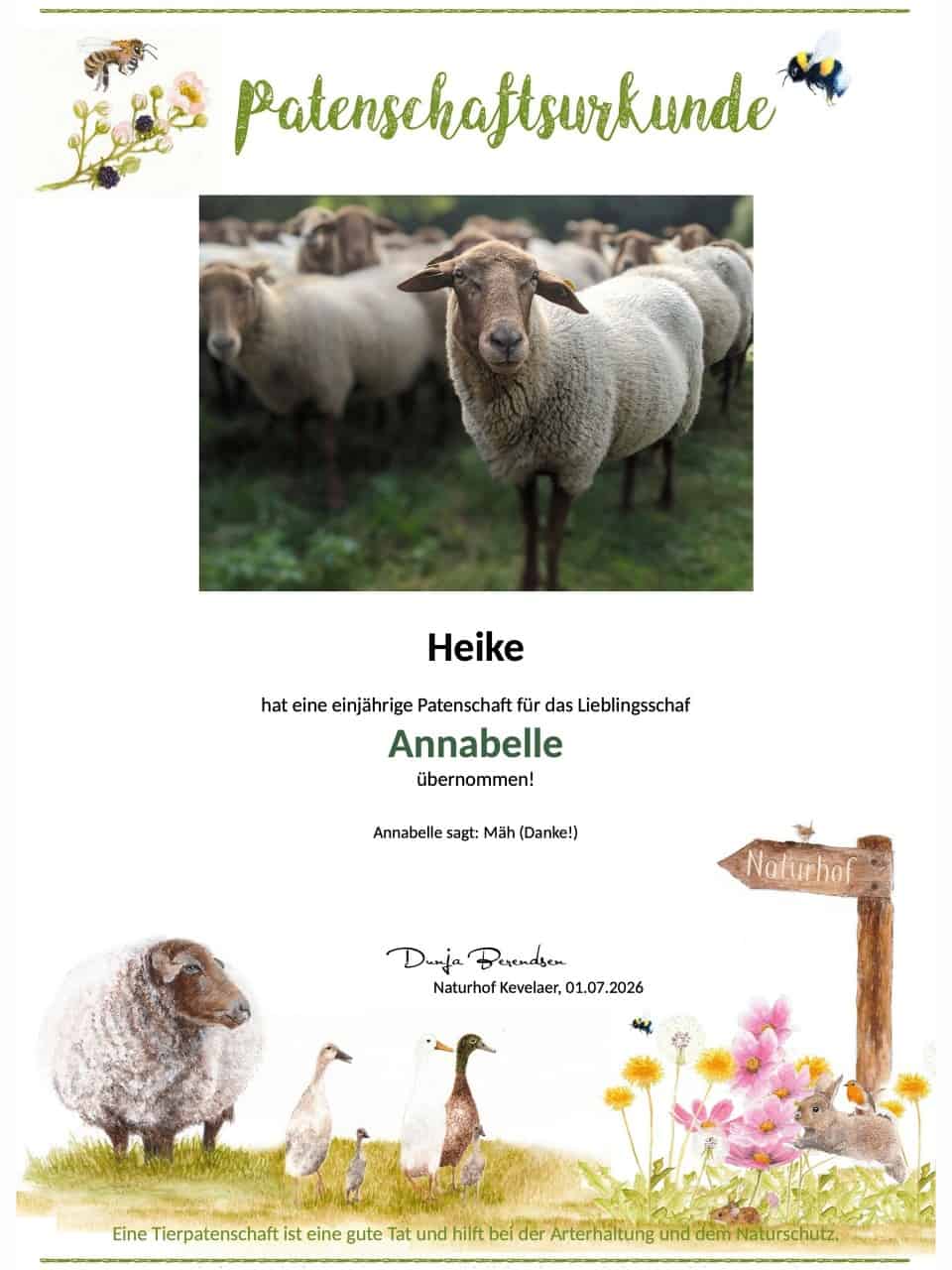Tierpatenschaft Schaf Annabelle Tierpatenschaft Schaf Annabelle