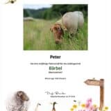 Tierpatenschaft Schaf Bärbel