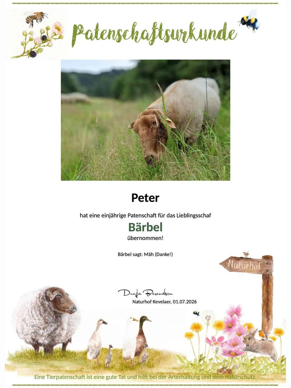 Tierpatenschaft Schaf Bärbel Tierpatenschaft Schaf Bärbel
