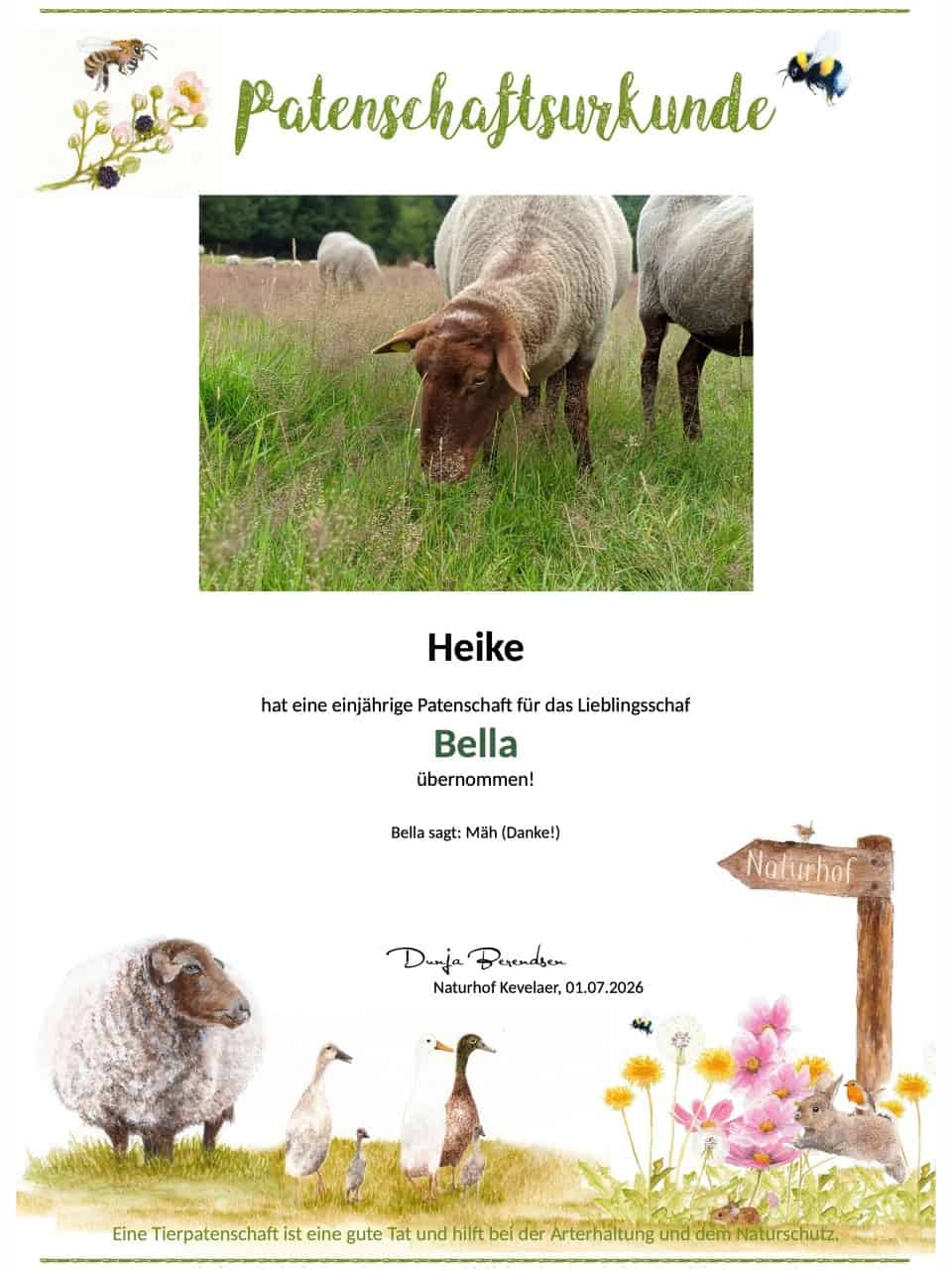 Tierpatenschaft Schaf Bella Tierpatenschaft Schaf Bella