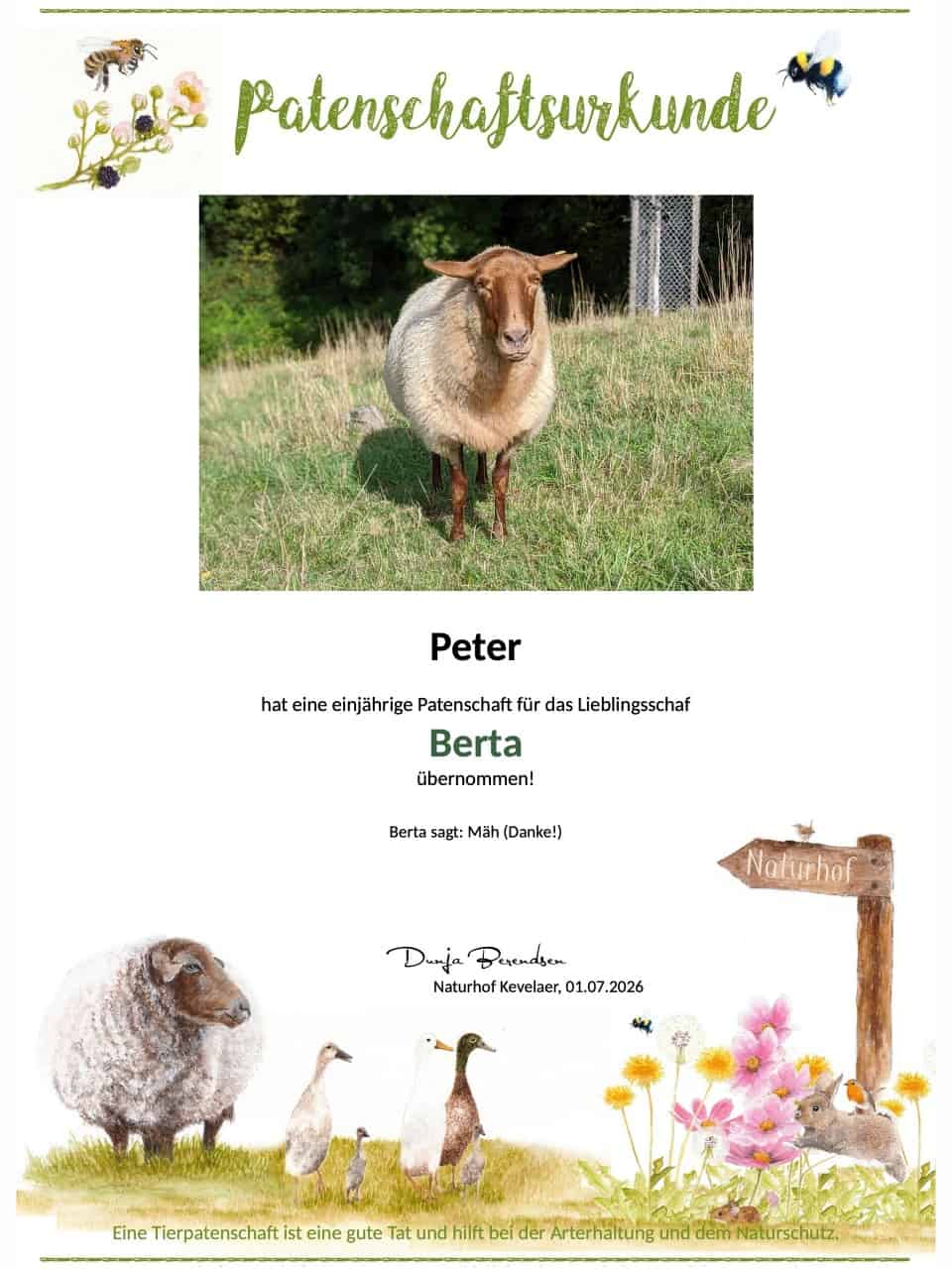 Tierpatenschaft Schaf Berta Tierpatenschaft Schaf Berta