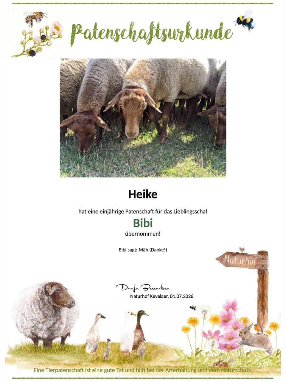 Tierpatenschaft Schaf Bibi Tierpatenschaft Schaf Bibi