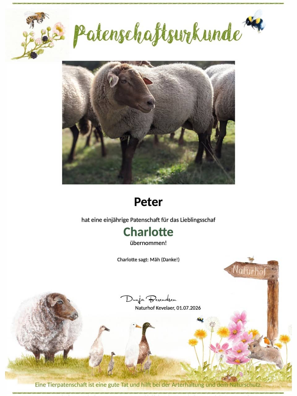 Tierpatenschaft Schaf Charlotte Tierpatenschaft Schaf Charlotte