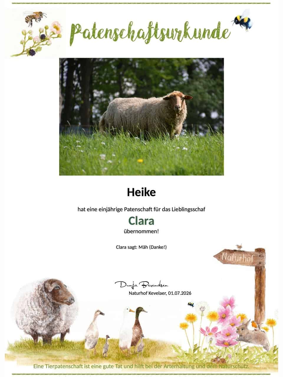 Tierpatenschaft Schaf Clara Tierpatenschaft Schaf Clara