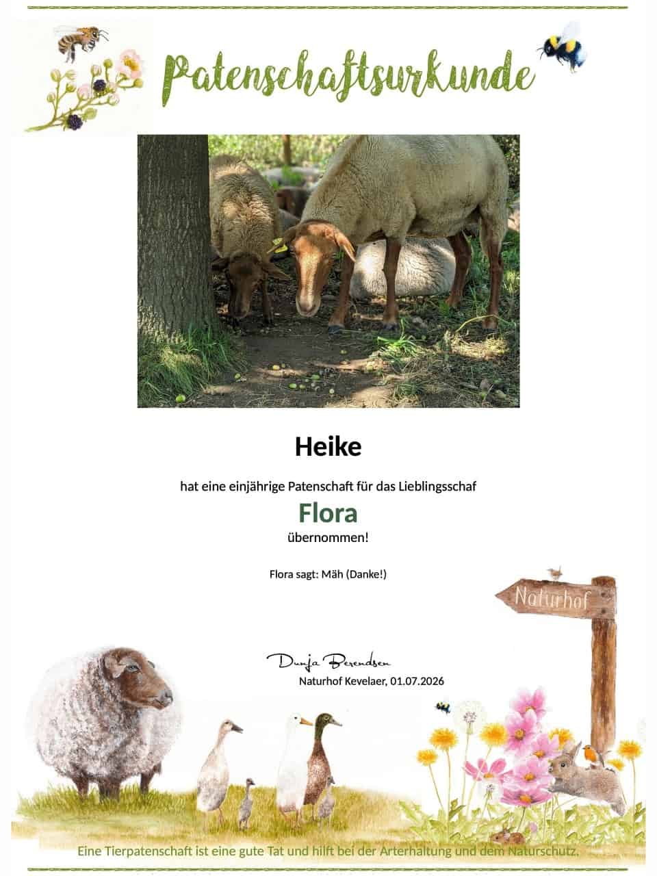 Tierpatenschaft Schaf Flora Tierpatenschaft Schaf Flora
