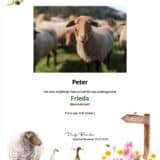 Tierpatenschaft Schaf Frieda