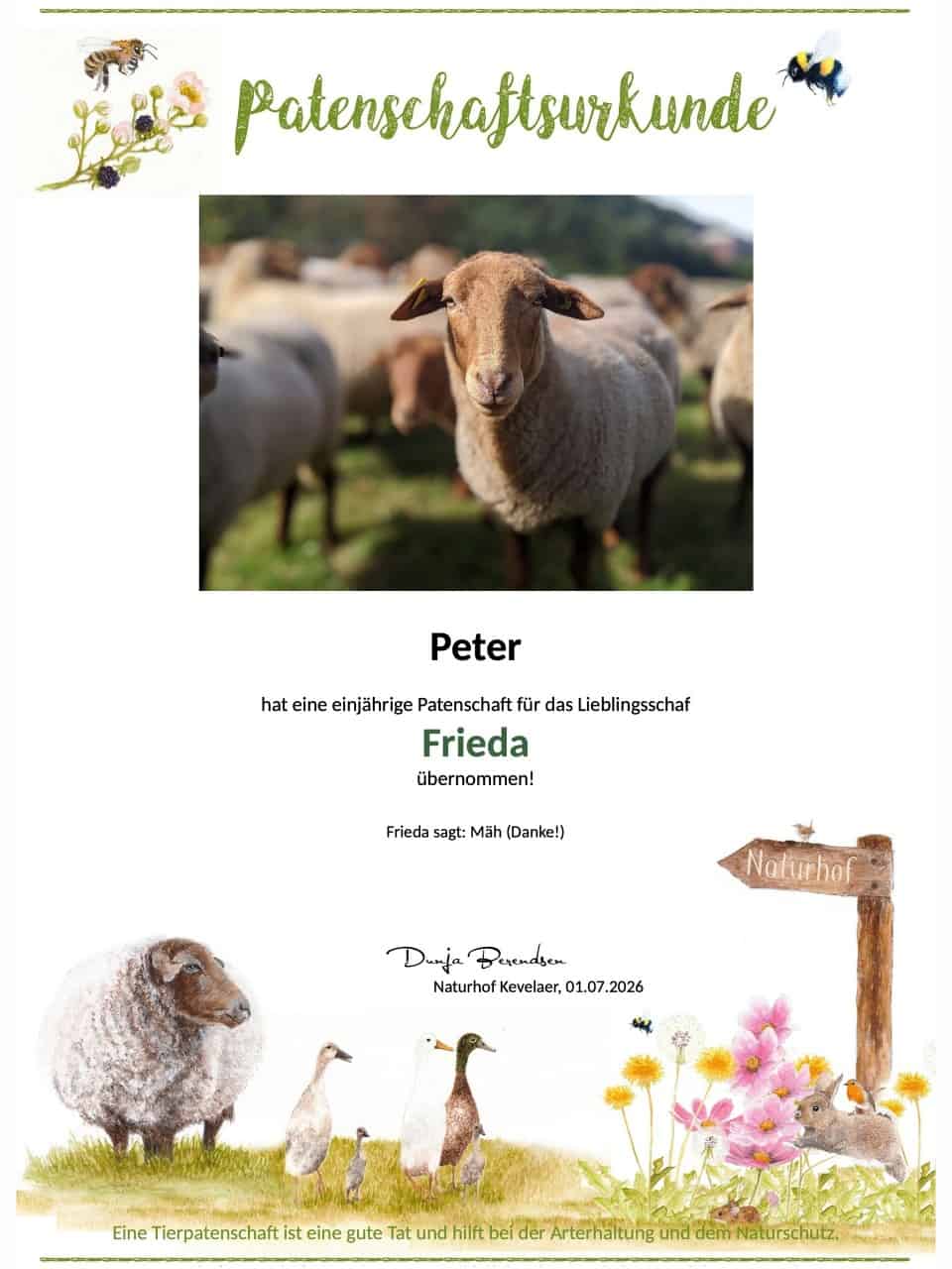 Tierpatenschaft Schaf Frieda Tierpatenschaft Schaf Frieda