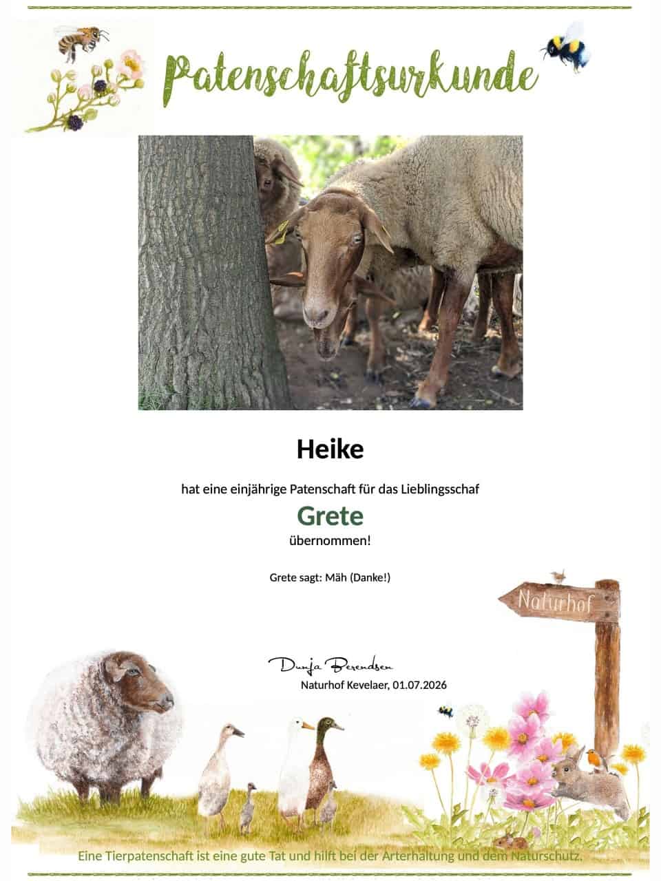 Tierpatenschaft Schaf Grete Tierpatenschaft Schaf Grete