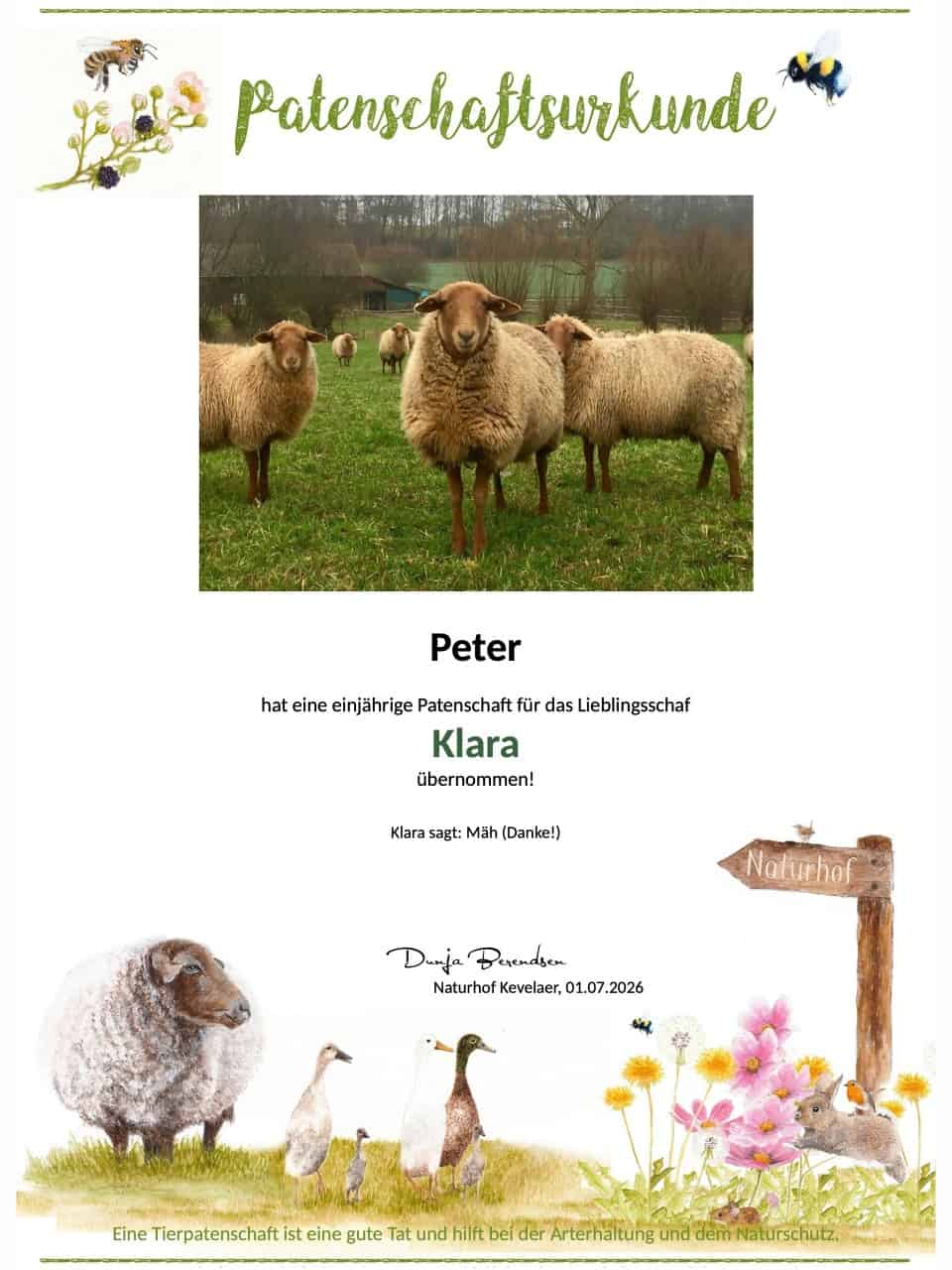Tierpatenschaft Schaf Klara Tierpatenschaft Schaf Klara