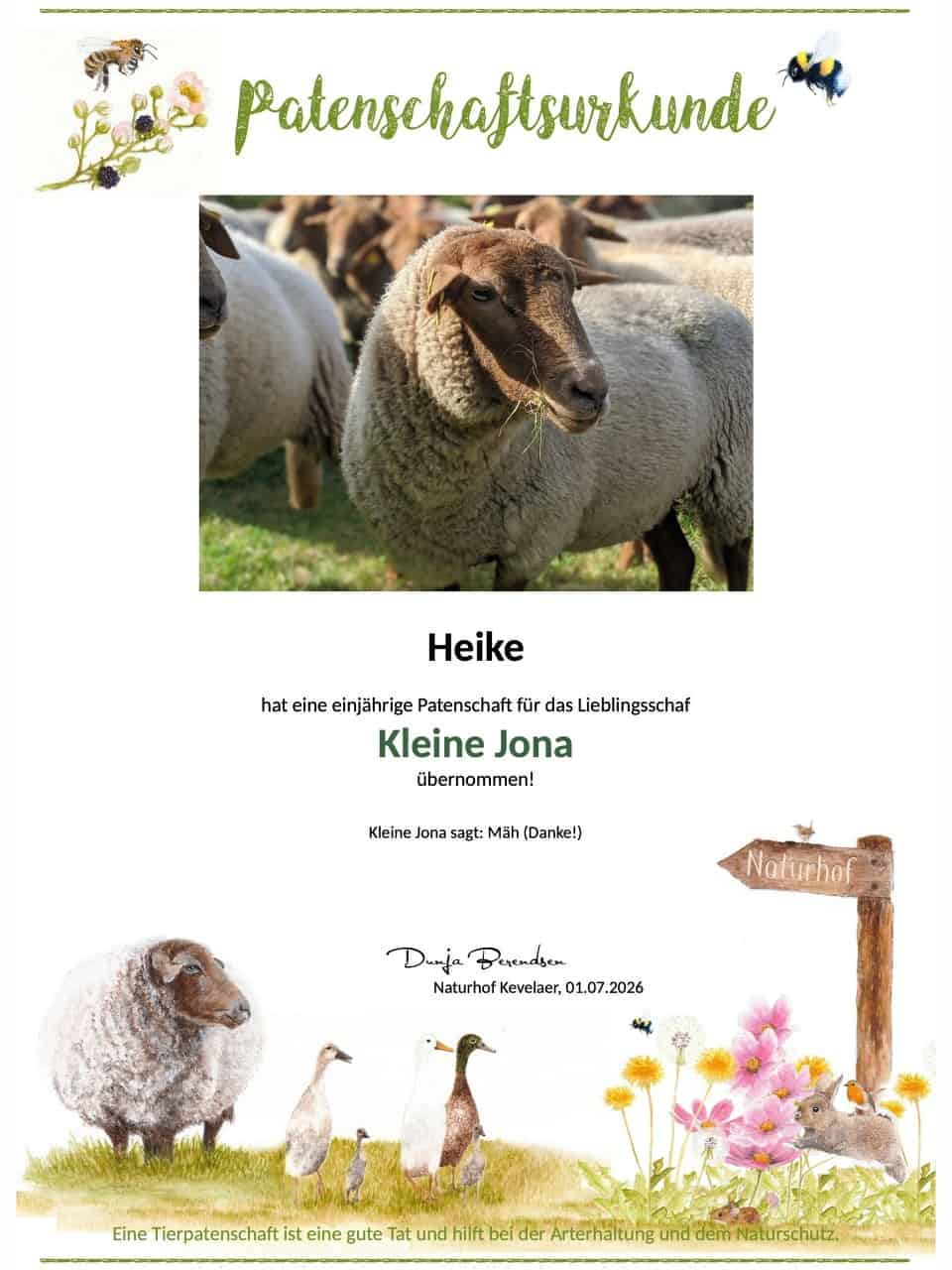 Tierpatenschaft Schaf Kleine Jona Tierpatenschaft Schaf Kleine Jona