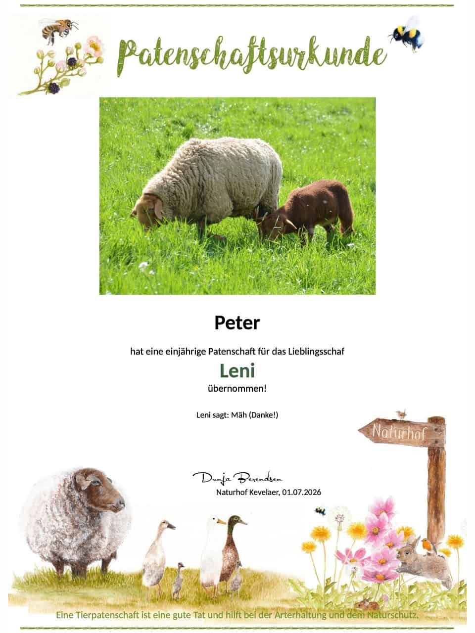 Tierpatenschaft Schaf Leni Tierpatenschaft Schaf Leni