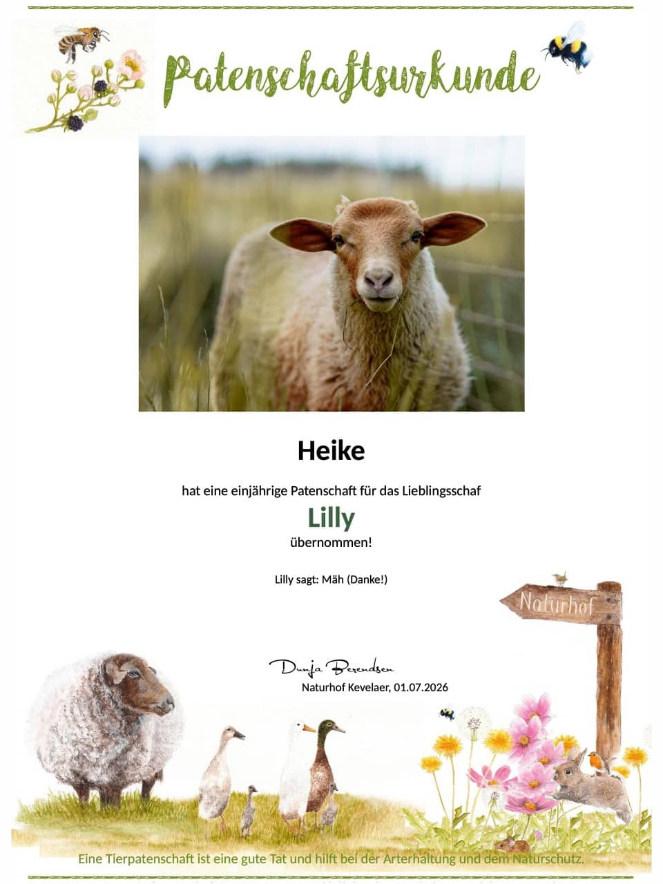 Tierpatenschaft Schaf Lilly Tierpatenschaft Schaf Lilly