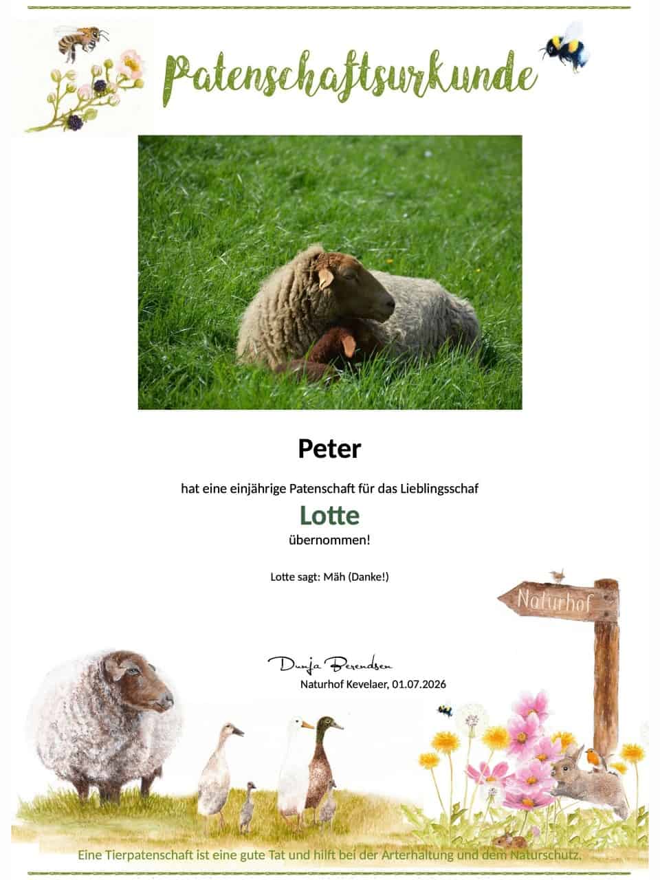 Tierpatenschaft Schaf Lotte Tierpatenschaft Schaf Lotte