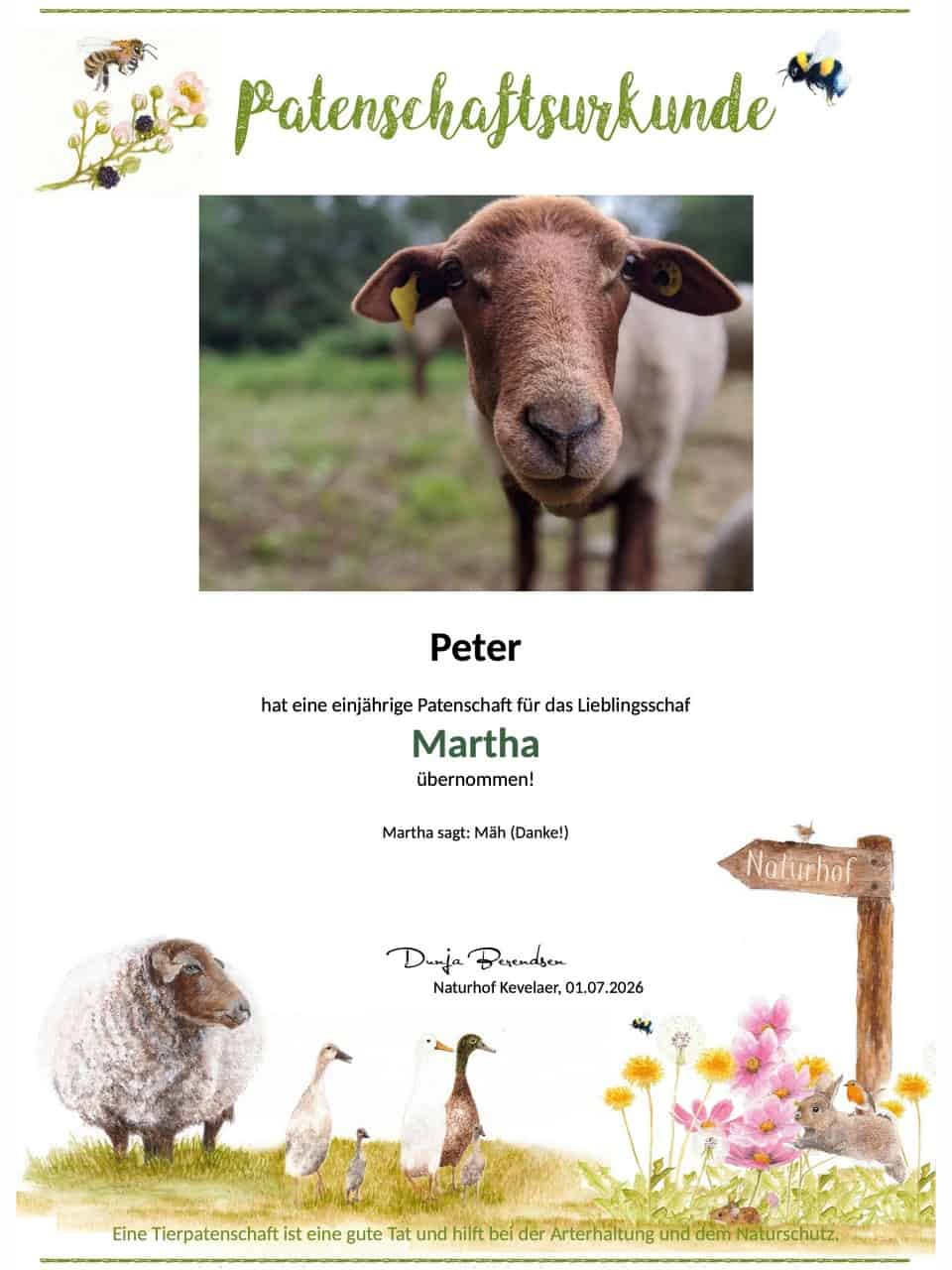Tierpatenschaft Schaf Martha Tierpatenschaft Schaf Martha
