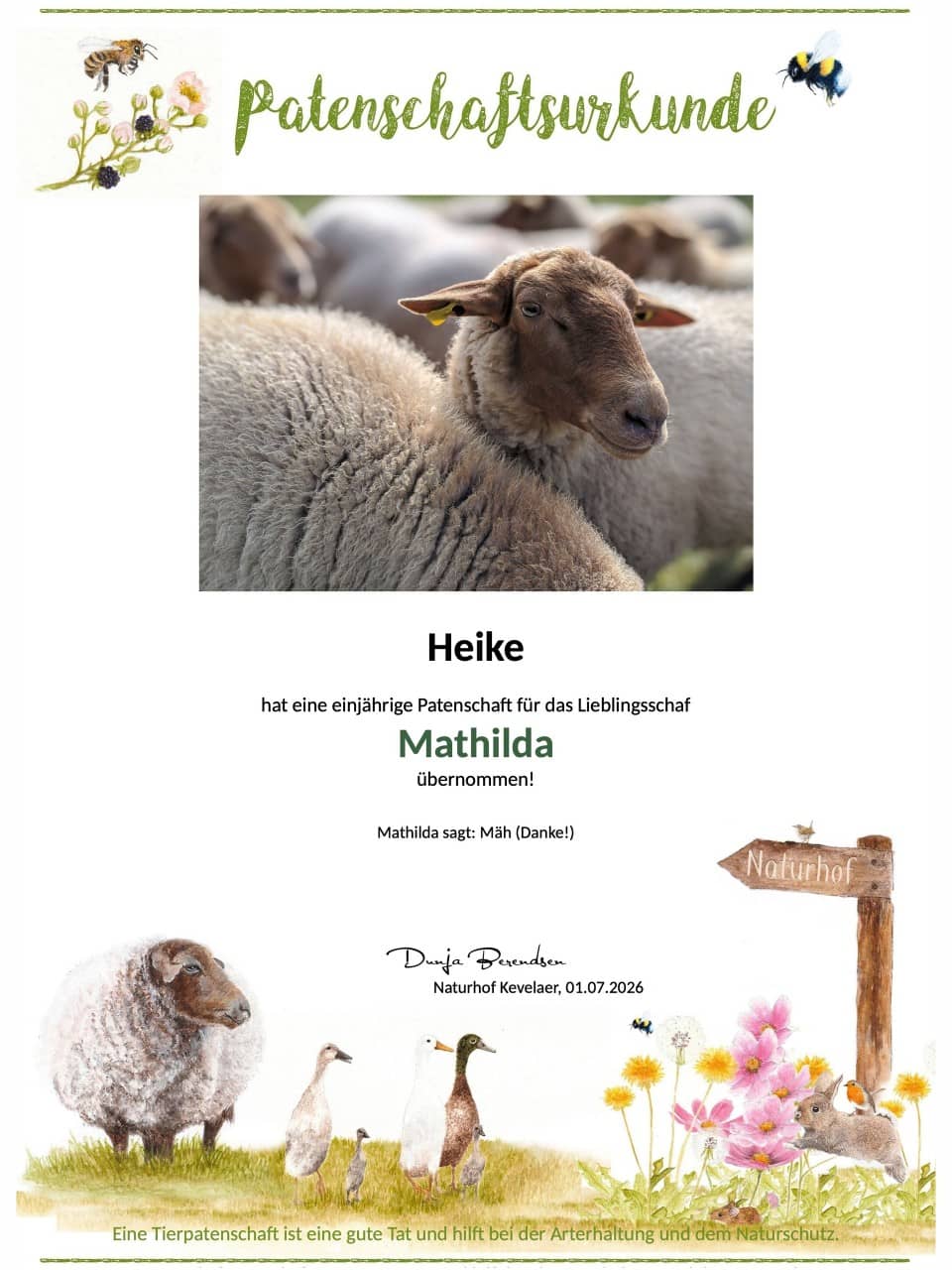 Tierpatenschaft Schaf Mathilda Tierpatenschaft Schaf Mathilda