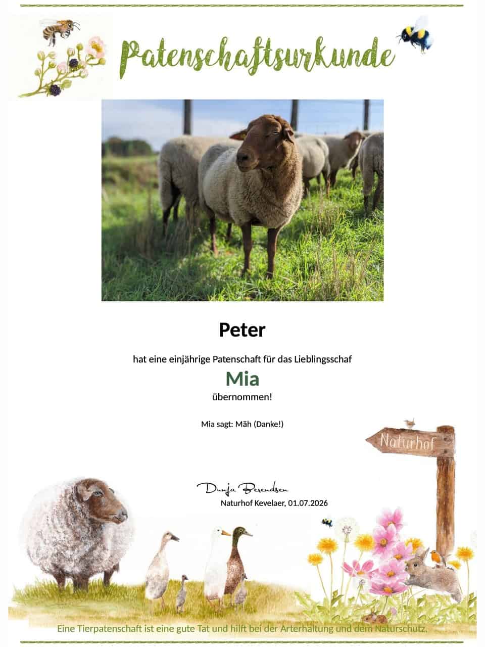 Tierpatenschaft Schaf Mia Tierpatenschaft Schaf Mia