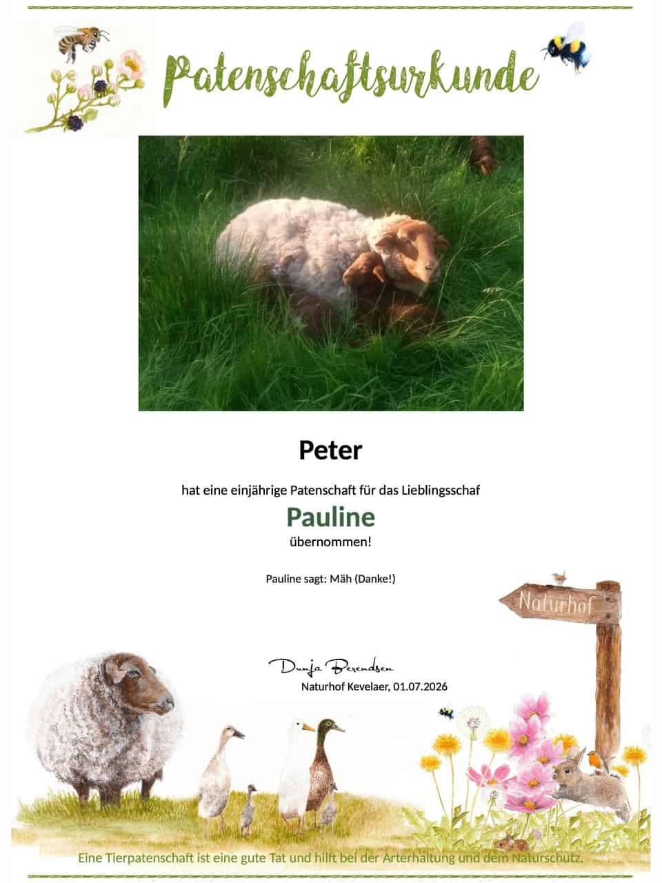 Tierpatenschaft Schaf Pauline Tierpatenschaft Schaf Pauline