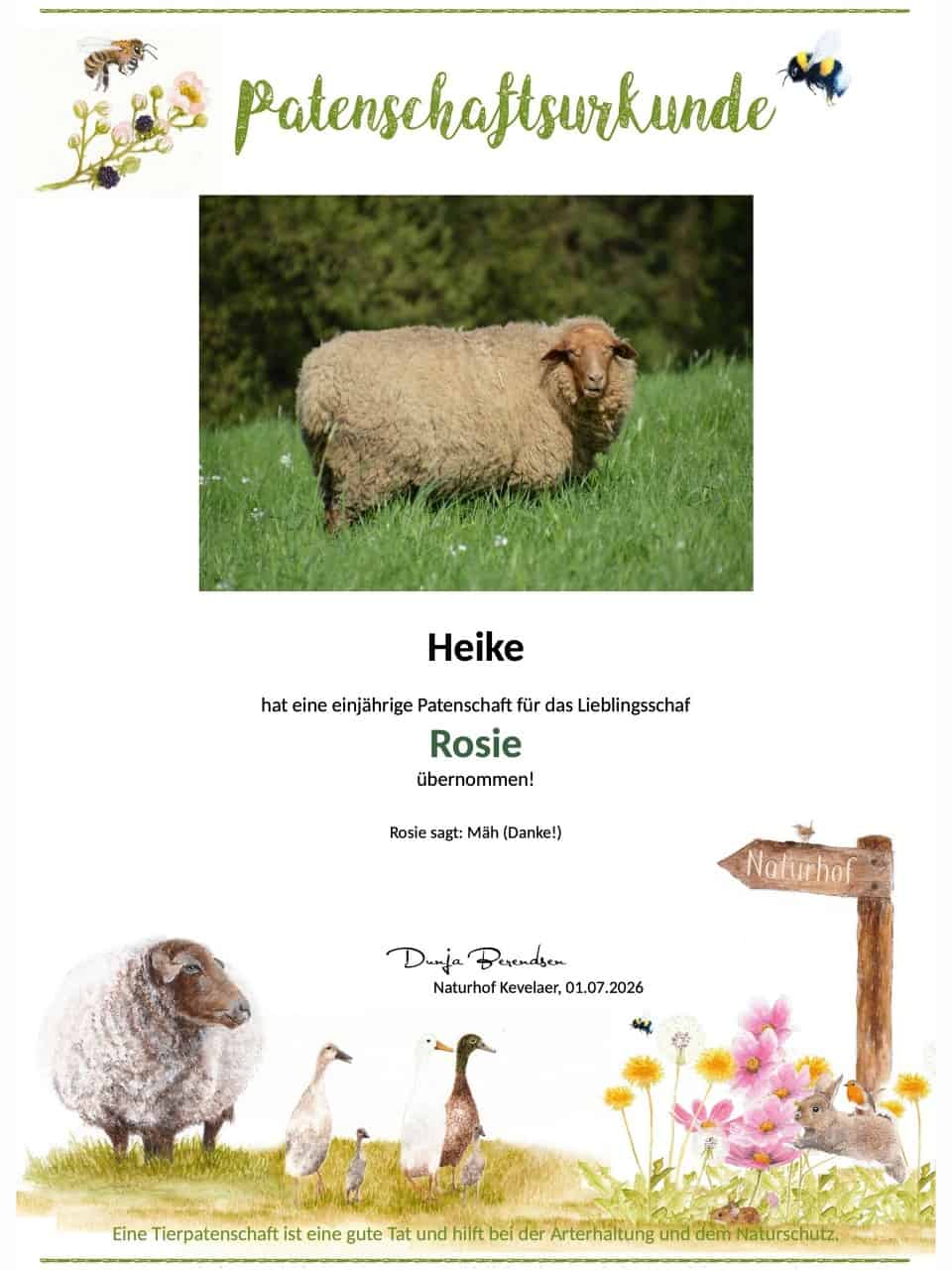 Tierpatenschaft Schaf Rosie Tierpatenschaft Schaf Rosie