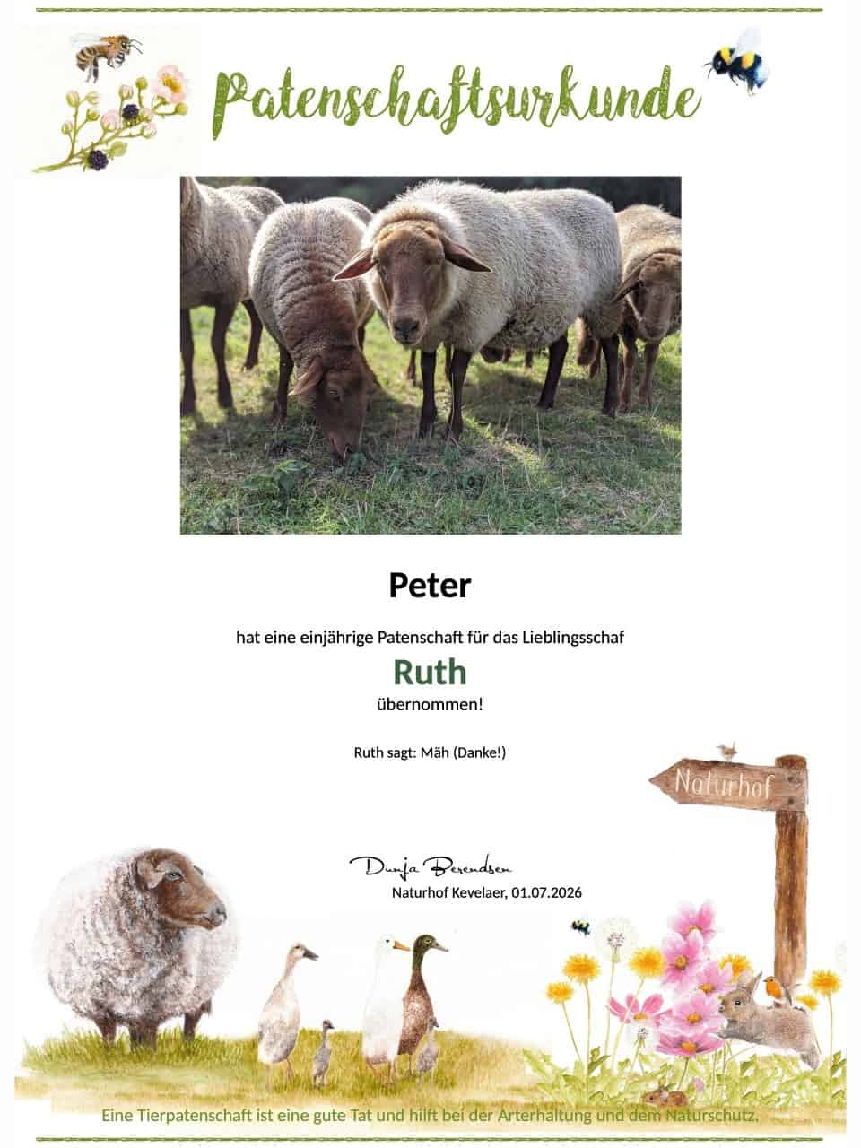 Tierpatenschaft Schaf Ruth Tierpatenschaft Schaf Ruth