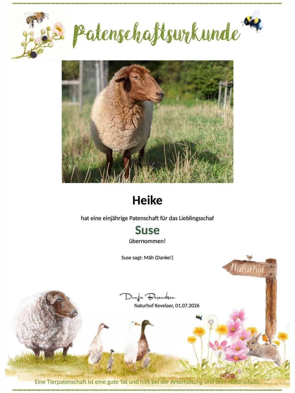Tierpatenschaft Schaf Suse Tierpatenschaft Schaf Suse