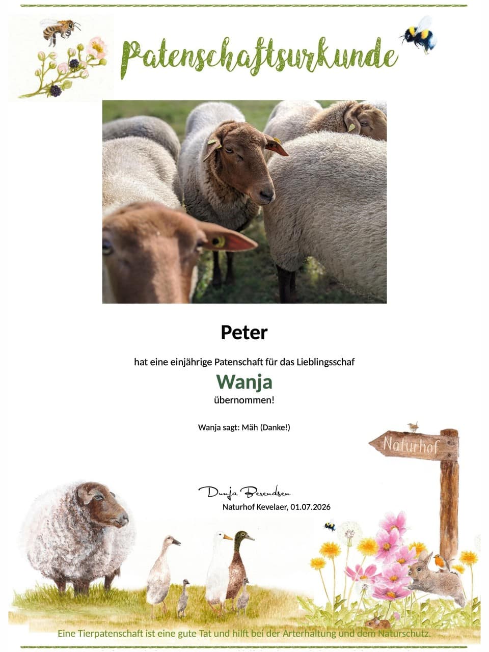 Tierpatenschaft Schaf Wanja Tierpatenschaft Schaf Wanja