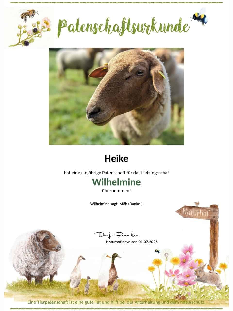 Tierpatenschaft Schaf Wilhelmine Tierpatenschaft Schaf Wilhelmine