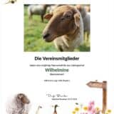 Tierpatenschaft Schaf Wilhelmine
