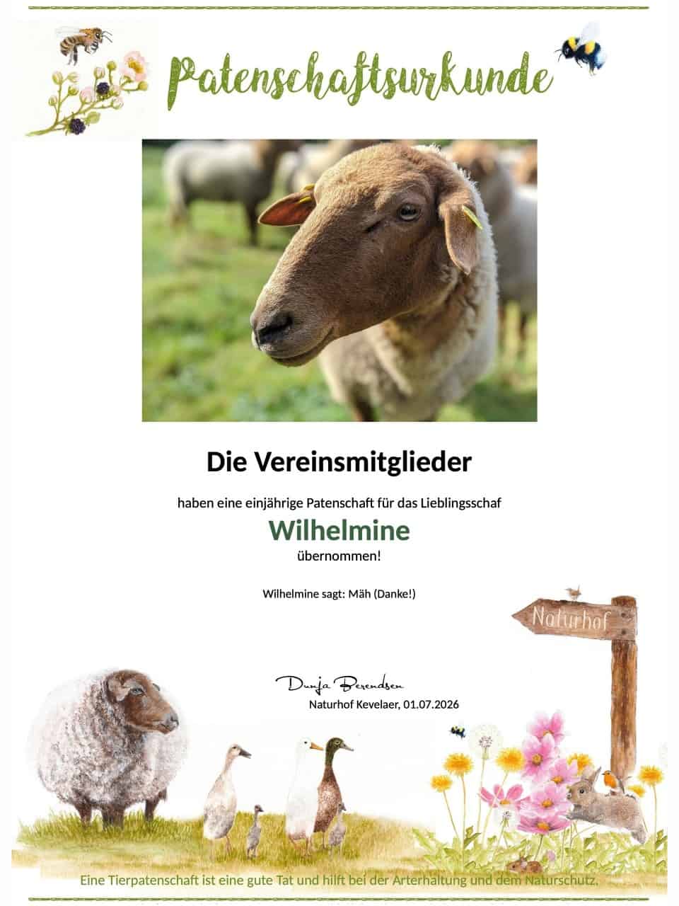 Tierpatenschaft Schaf Wilhelmine Tierpatenschaft Schaf Wilhelmine