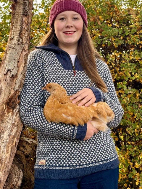 Pullover Troyer aus Wolle blau weiss